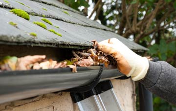 gutter cleaning Capel Dewi