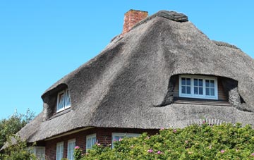 thatch roofing Capel Dewi