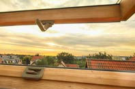 rated Capel Dewi roof window companies